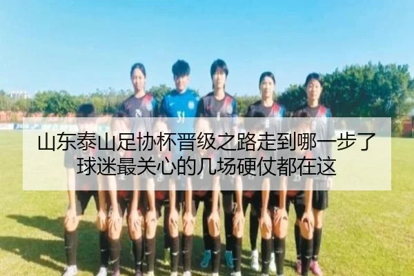 山东泰山足协杯晋级之路走到哪一步了 球迷最关心的几场硬仗都在这（k1sports）